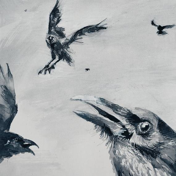 Rysunek tuszem autorstwa Andrzeja Nogali przedstawiający kruki w locie na jasnym tle. Praca wykonana tuszem na papierze. Wszystkie kruki są ukierunkowane na widza.